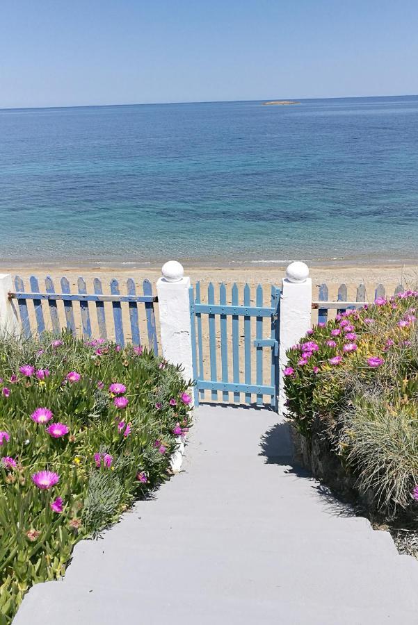 스키로스 Anemos Seaside House 빌라 외부 사진